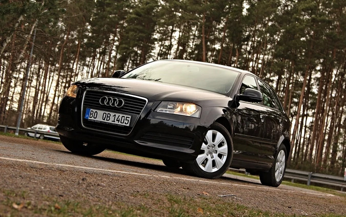 Audi A3 cena 26600 przebieg: 225100, rok produkcji 2010 z Gostynin małe 781